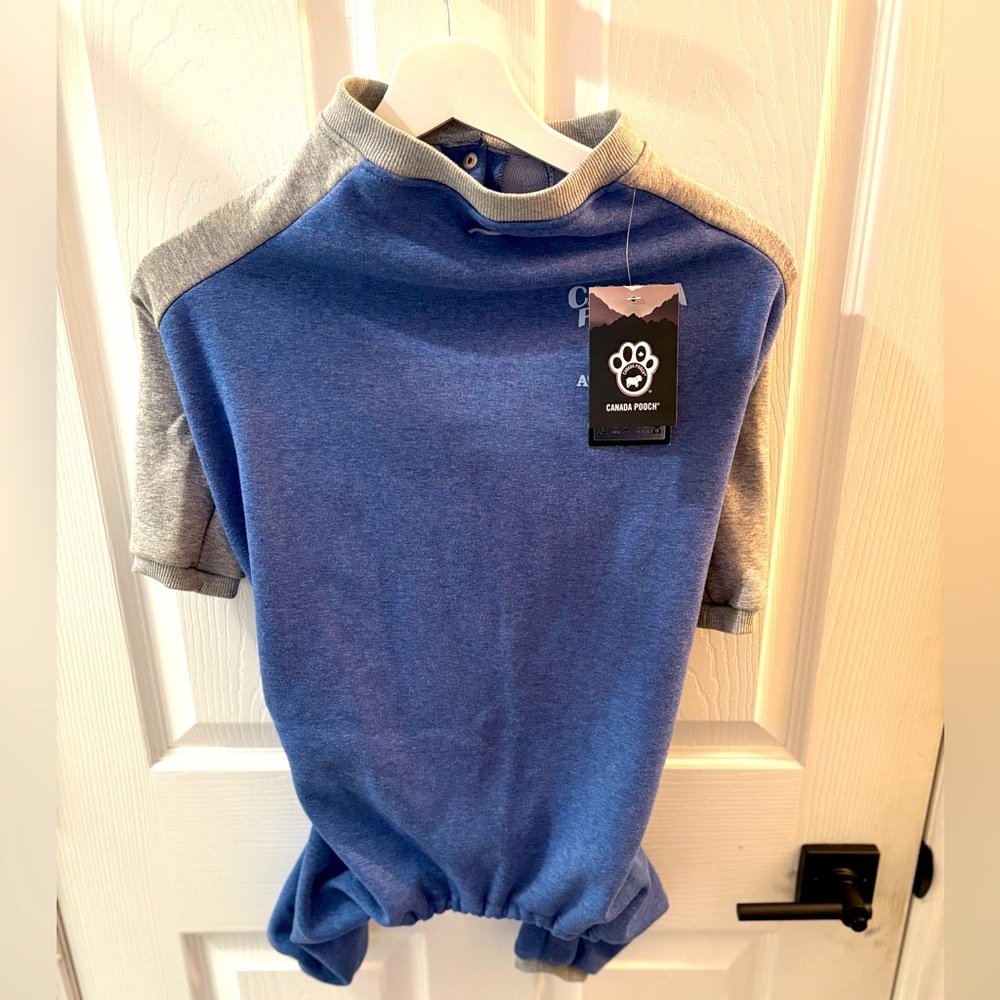 Blue and Gray Short Sleeve Top